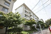 ＵＲ都市機構光明台団地２５号棟 3階 築46年9ヶ月の賃貸物件