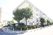 ＵＲ都市機構藤沢台第３団地３２０号棟 3階 築41年8ヶ月の賃貸物件