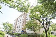 ＵＲ都市機構金剛団地３５号棟 5階 築56年11ヶ月の賃貸物件