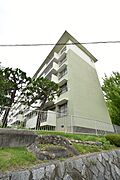 ＵＲ都市機構鶴山台団地３０号棟 3階 築54年5ヶ月の賃貸物件