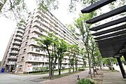 なかもず駅より徒歩12分 1階 築52年11ヶ月の賃貸物件