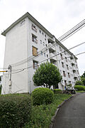 ＵＲ都市機構金剛団地４０３号棟 3階 築56年7ヶ月の賃貸物件