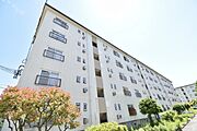 金剛駅より徒歩14分 3階 築57年7ヶ月の賃貸物件