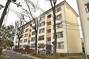 ＵＲ都市機構泉北桃山台１丁団地１６棟 5階 築53年7ヶ月の賃貸物件