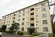 栂・美木多駅より徒歩7分 5階 築53年8ヶ月の賃貸物件