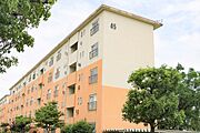 ＵＲ都市機構鶴山台団地４５号棟 2階 築55年の賃貸物件