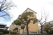 ＵＲ都市機構鶴山台団地１３号棟 2階 築55年の賃貸物件