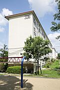 金剛駅より徒歩16分 築57年4ヶ月 5階建の賃貸物件