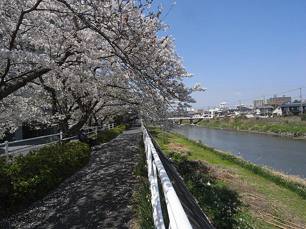 東側には馬込川遊歩道があります。桜の季節は特に気持ちいです
