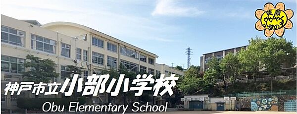 画像18:神戸市立小部小学校（498m）