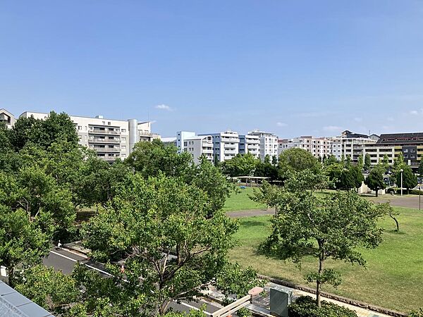 大きな公園が借景となり、広いお庭のように感じる落ち着いた眺望