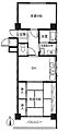 ハイネス菊屋橋7階15.0万円