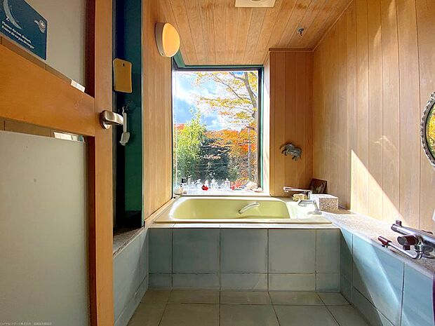 温泉も引湯可能な浴室です。重厚感のある浴槽は温泉でなくても気持ちよさそうです。