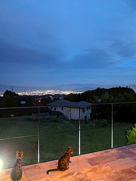 オーナー様よりバルコニーからの夜景のお写真をご提供いただきました。