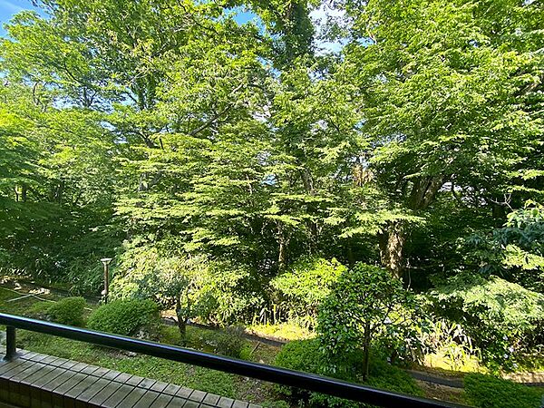 最前列の棟のため、バルコニーから別棟が視界に入りません。