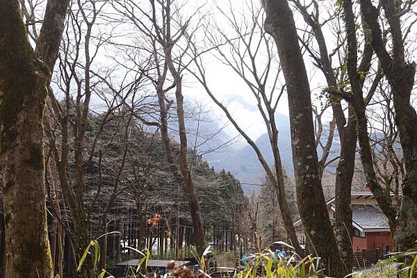 対象地から白煙を上げる壮大な大涌谷を望みます。建物からは素敵な眺望が得られることでしょう。