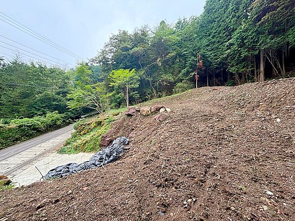 敷地の北西側から南方向を撮影。敷地全体の高低差は約9mございます。