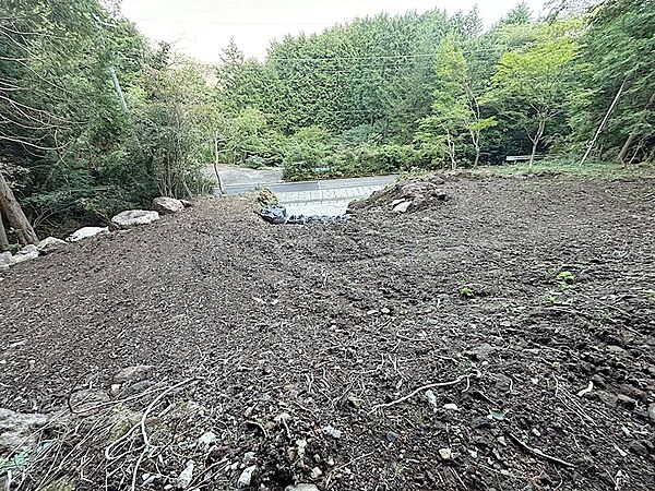 敷地の西側から東方向を見下ろします。写真では高く感じますが、途中に平坦部分もございます。