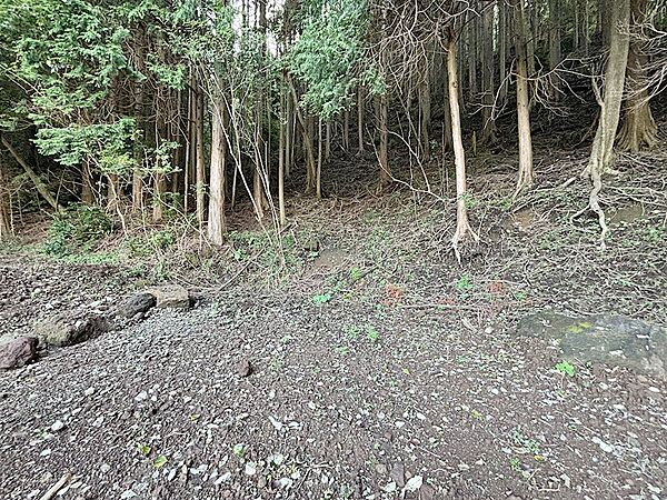 敷地の西側から隣地を撮影。上部は森・山が広がります。