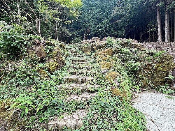 石段で土地上部に進みます。