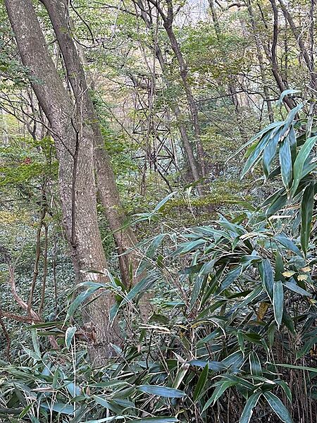 【敷地内】温泉櫓がございます。休止源泉のため、温泉の掘削には様々な規制・条件がございます。
