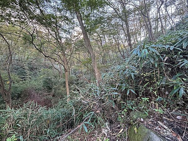 【敷地内】草木が生い茂り、地勢が分かりづらいこと、ご承知おきください。
