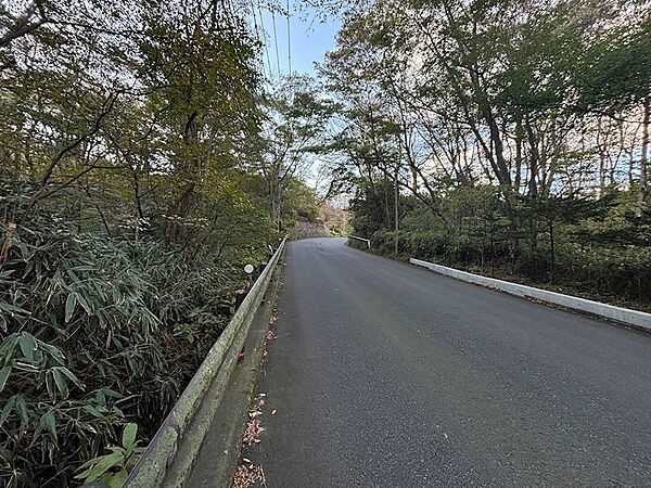 【前面道路】強羅と仙石原を繋ぐ県733号（道仙石原強羅停車場線）沿いの土地です。