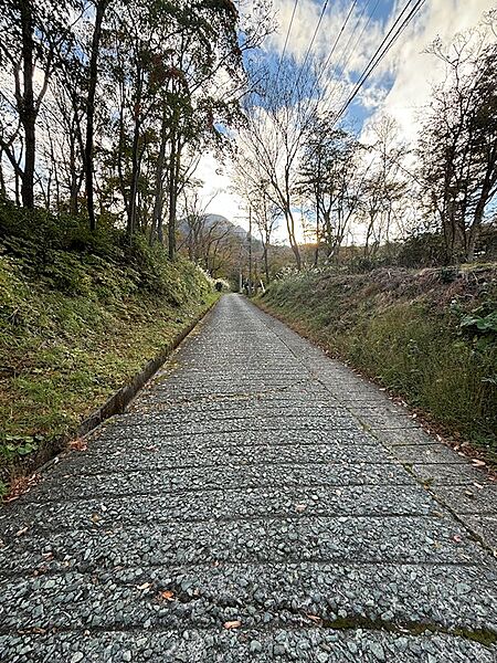 【前面道路】こちらは北西側の私道（坂道）です。道路の左側が対象の土地です。