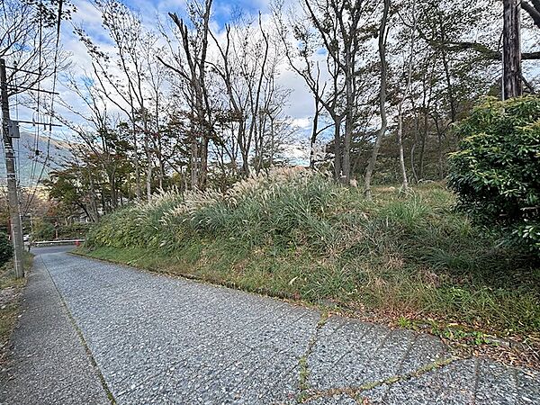 【敷地内】私道側上部に比較的平坦なアプローチ部分がございます。