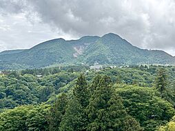 レーベン宮城野