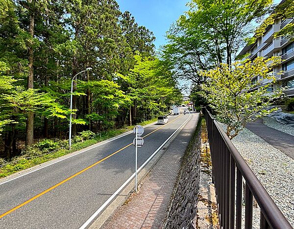【国道1号】箱根駅伝の熱気を間近で感じることが出来ます。