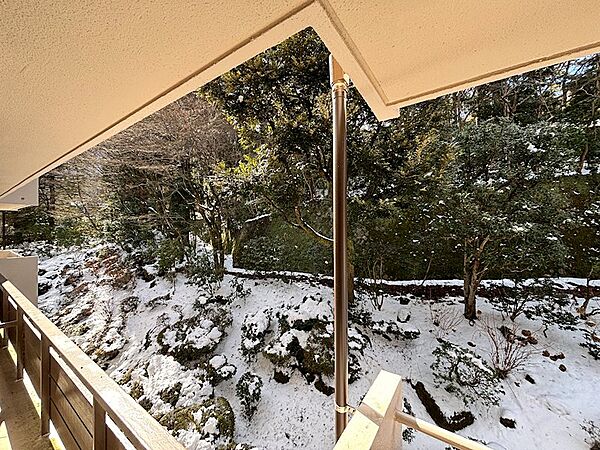 普段は緑一色ですが、雪景色も素敵ですね。