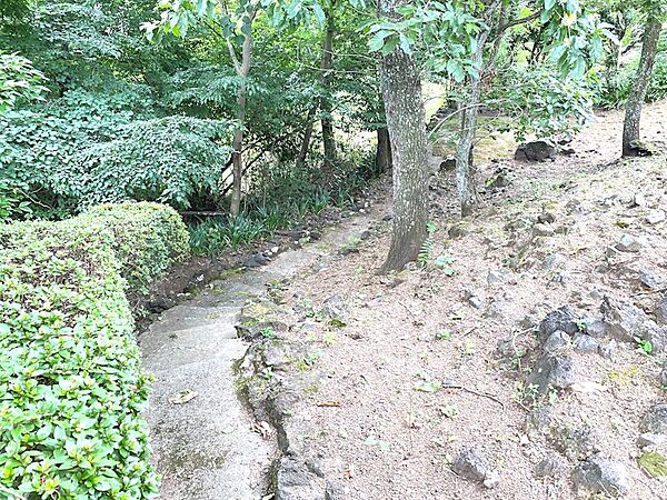 【庭】西側外回りに階段があります
