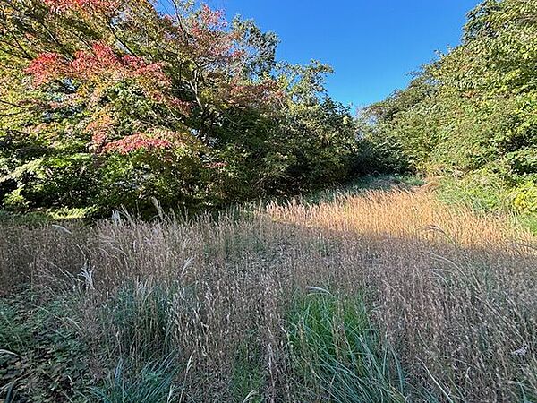 【お庭】家庭菜園も可能です