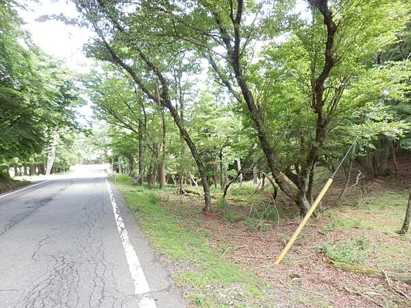 メイン通り面が長いため、企画造成がとてもしやすい敷地です。