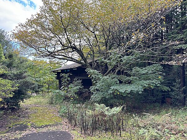 ログハウス付近