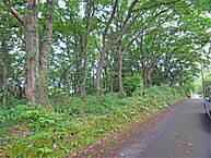 静岡県伊東市八幡野：物件画像