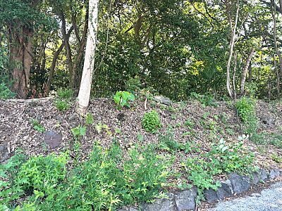 外観:【現地写真】敷地は傾斜があります 外観:【現地写真】敷地は傾斜があります