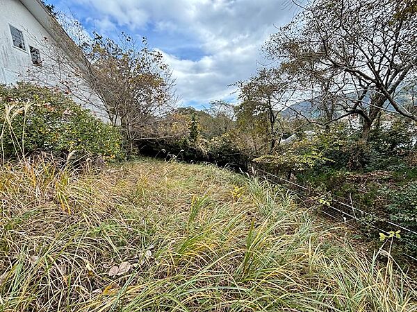 【お庭】南向きです。伐採が必要です