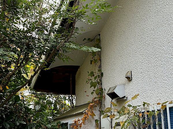 【補修】屋根の補修が必要です
