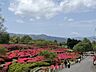 周辺：小室山公園（5920m）