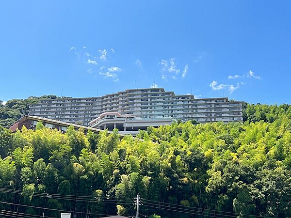 外観：322000591971