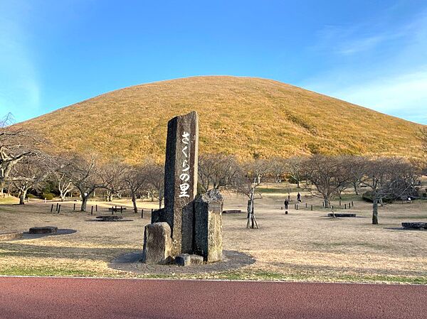 大室山麓 さくらの里（4559m）