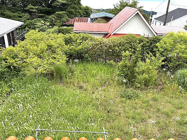 【庭】緑が癒されるお庭です