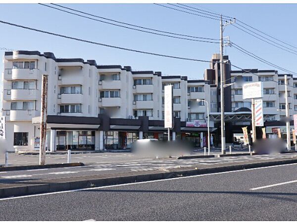 パステルビラ光陽 ｜栃木県塩谷郡高根沢町光陽台1丁目(賃貸マンション3DK・4階・67.32㎡)の写真 その1