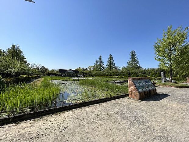 神野公園(とんぼ池) 1670m