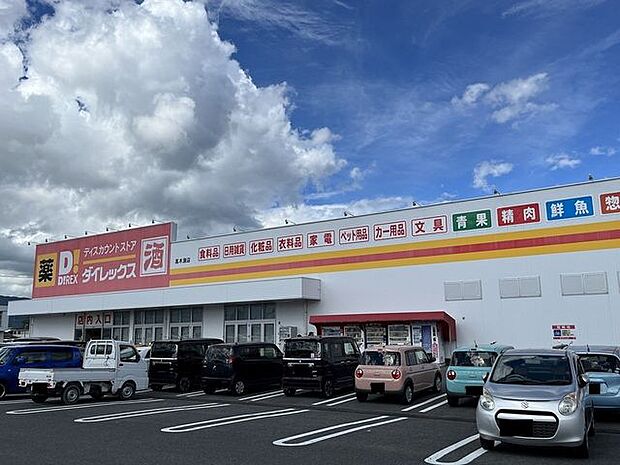 ダイレックス高木瀬店 1320m