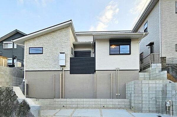 外観：323000401053