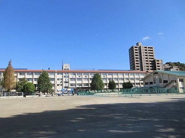 伊敷中学校 800m