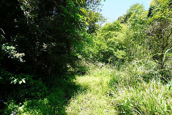 外観：346000023767